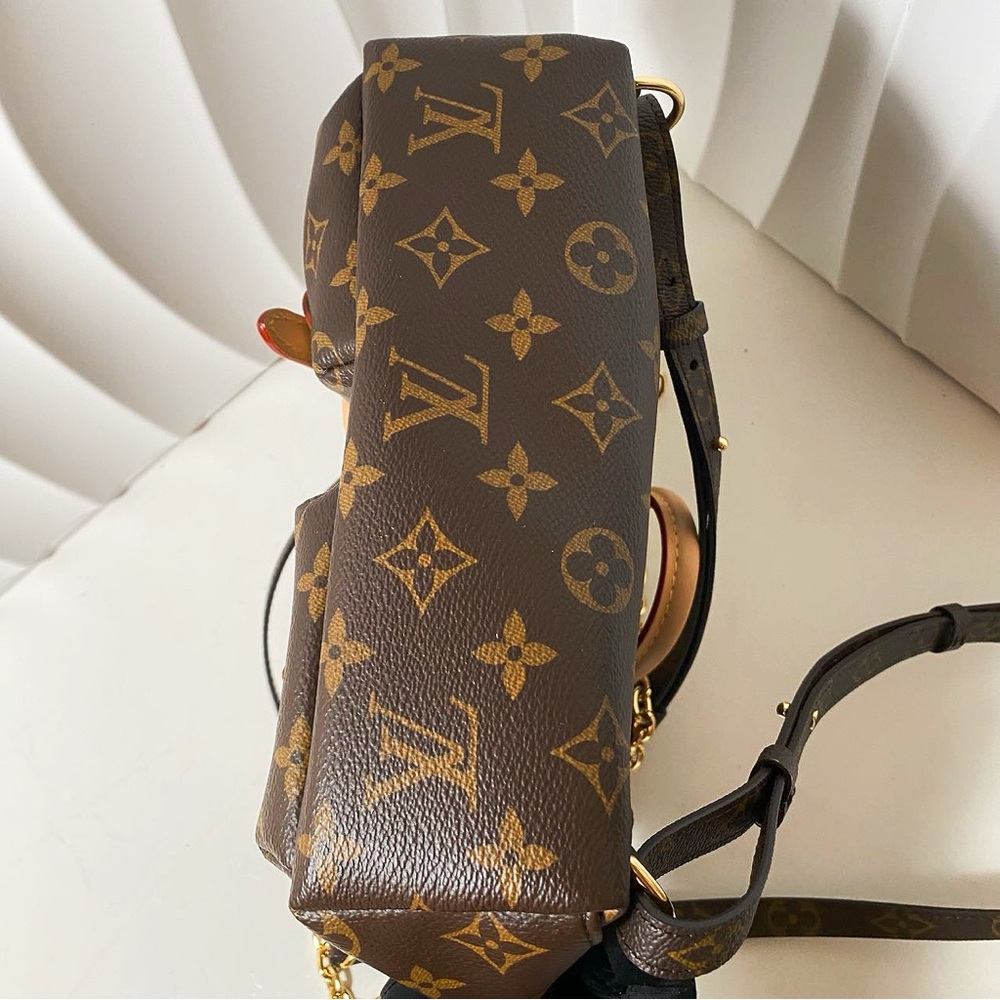 Louis Vuitton Monogram Excursion Backpack - Picture 6 of 12